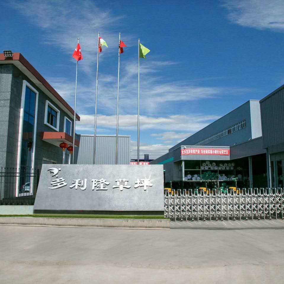 Cina Dorelom artificial grass group co,ltd.