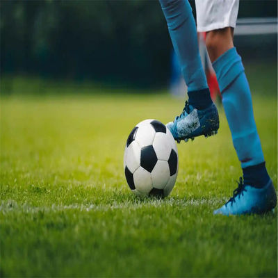 PE Green Mini Football Field Lapangan sepak bola rumput buatan untuk lantai lapangan sepak bola