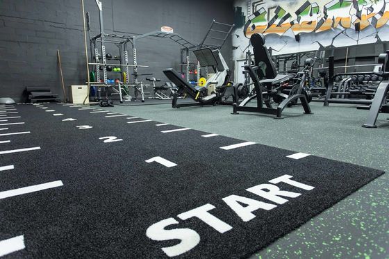 Dorelom Fitness Lawn Karpet Lantai Hitam Biru Pelangi Sintetis Gambut Palsu Gym Rumput Buatan Untuk Kebugaran