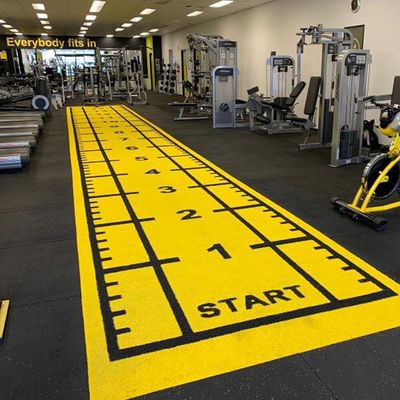 Dorelom Fitness Lawn Karpet Lantai Hitam Biru Pelangi Sintetis Gambut Palsu Gym Rumput Buatan Untuk Kebugaran