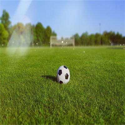 Natural Non-Infill 50mm 60mm Football Turf untuk Stadion Sepak Bola dan Gym Olahraga Luar Ruang