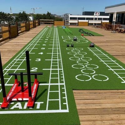 CE ISO9001 ISO14001 Sertifikasi Dorelom Latihan Athletic Grass Mat untuk lantai kebugaran
