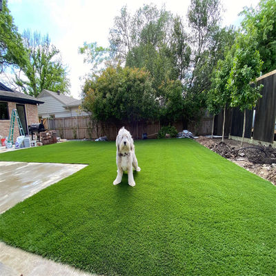 Lantai Taman Olahraga Artificial Synthetic Lawn Landscape Grass Carpet Roll 40mm Hitam Hijau Warna