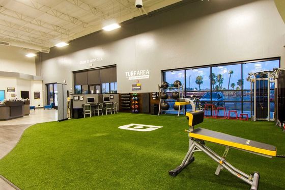 Artificial Grass dengan 63000 Stitches/m2 Density PE Gym Flooring Turf