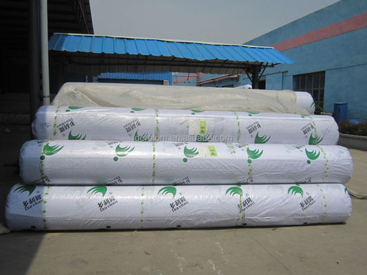 Rumput buatan lapangan sepak bola mini dengan ketinggian 50 mm dan dukungan SBR Non-woven pada tahun 2021