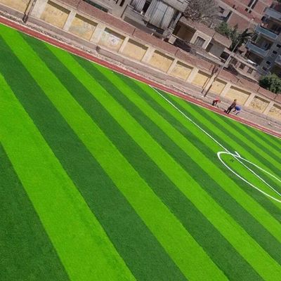 Lapangan Sepak Bola W Bentuk Bi-Color UV Resistant PE Monofilament Artificial Grass