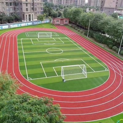 Lapangan Sepak Bola W Bentuk Bi-Color UV Resistant PE Monofilament Artificial Grass