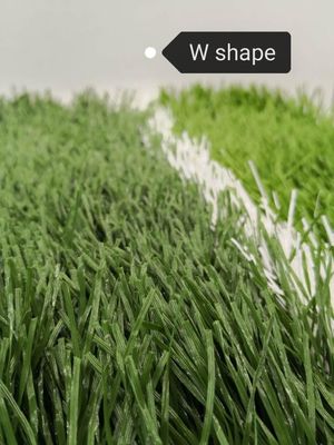 Lapangan Sepak Bola W Bentuk Bi-Color UV Resistant PE Monofilament Artificial Grass