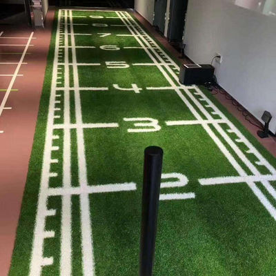 Olahraga Lahan buatan lainnya Lanskap untuk Golf Lapangan sepak bola Gym Rumput sintetis