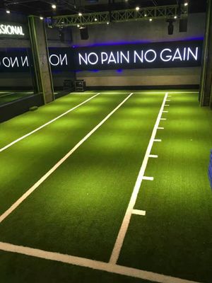 Lantai olahraga Skala kebugaran Latihan rumput buatan untuk gym