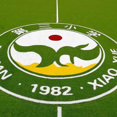 PE PP Dukungan Logo Rumput Buatan Pola Warna Rumput Sintetis Karpet Sepak Bola Mini